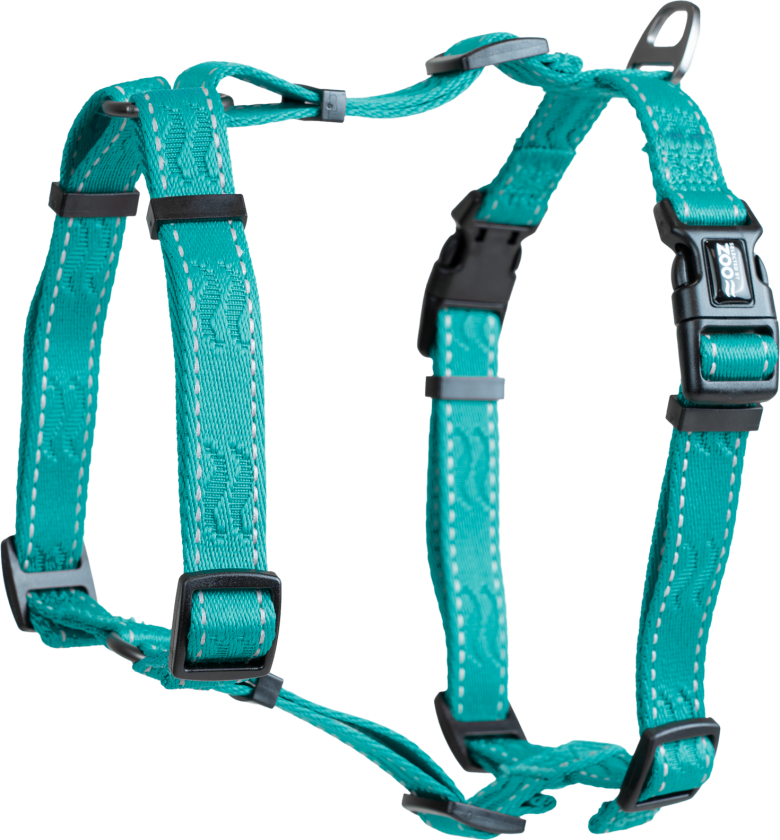 Sele Rufus H-sele justerbar S/M 20 mm x 70 cm Turkis - Hund - Halsbånd og seler - Sele til hund - Selected by ZOO