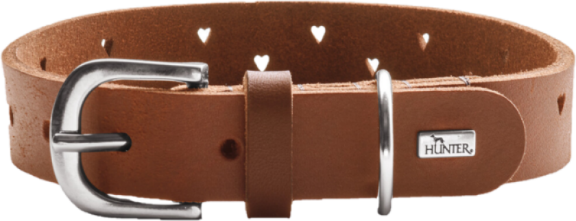 Hundehalsbånd Aalborg Soul Cognac XXS-XS 30 - Hals 21-25cm - Hund - Halsbånd og seler - Hunter