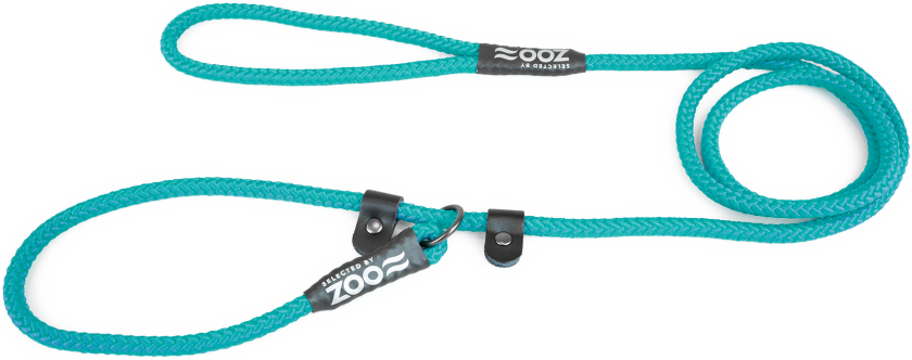 Retriever-bånd Rufus Φ9 mm x 160 cm Turkis - Hund - Kobbel og bånd - Leiebånd - Selected by ZOO