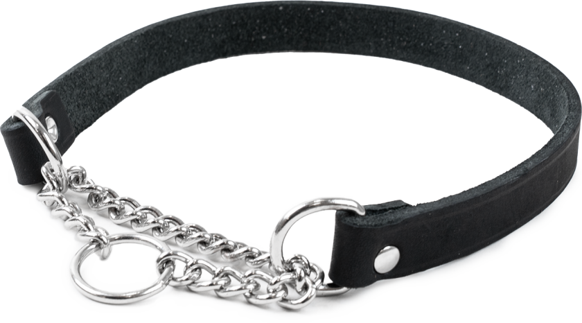 Halskjede i lær Hera halvjern Svart 18 mm x 36-44 cm - Hund - Halsbånd og seler - Selected by ZOO