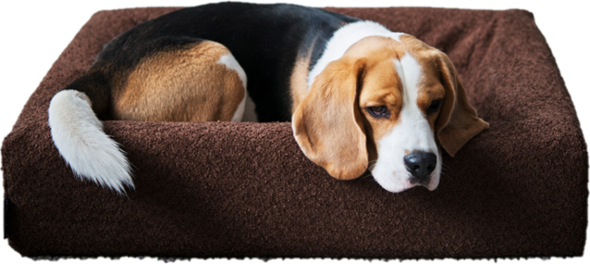 Cover Premium Bouclé No 7, 100x120x15cm, Brun - Hund - BiaBed