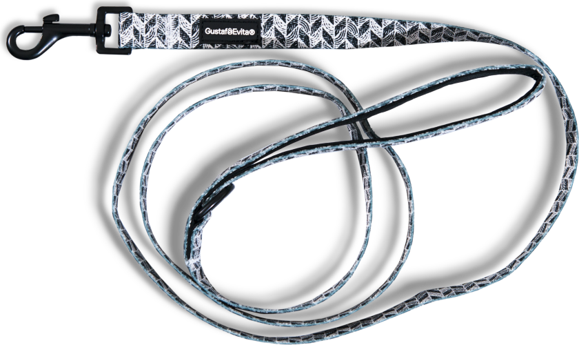 Bånd Trendish XXS/XS, 15mm x 180cm Mønstret - Hund - Kobbel og bånd - Leiebånd - Gustaf och Evita