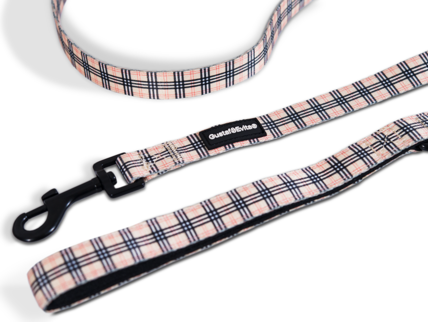 Bånd Stilish XXS/XS, 15 mm x 180 cm mønstret - Hund - Kobbel og bånd - Leiebånd - Gustaf och Evita