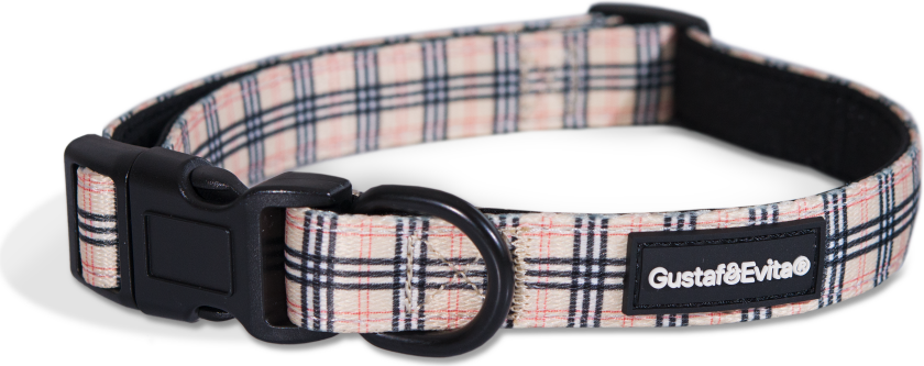 Hundehalsbånd Stilish justerbart XS, 15 mm x 28-43 cm Mønstret - Hund - Halsbånd og seler - Gustaf och Evita