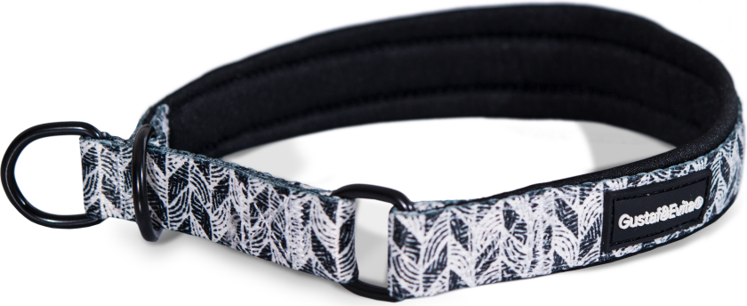 Bilde av Hundehalsbånd Trendish Halvstrup M, 20mm x 40-50cm Mønstret - Hund - Halsbånd og seler - Gustaf och Evita