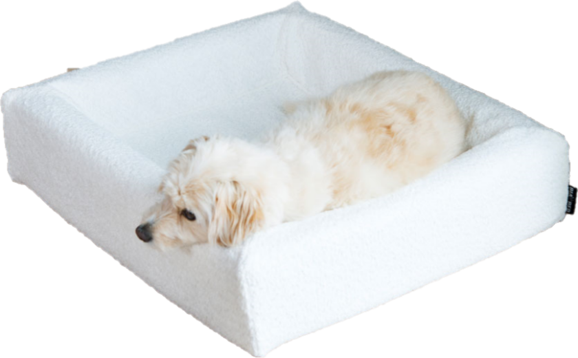 Cover Premium Bouclé No 7, 100x120x15cm, Hvit - Hund - BiaBed