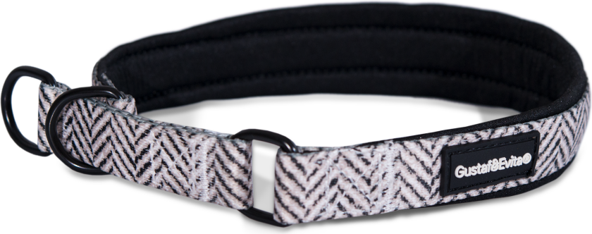 Hundehalsbånd Modish Halvstrup M, 20 mm x 40-50 cm, Mønstret - Hund - Halsbånd og seler - Gustaf och Evita