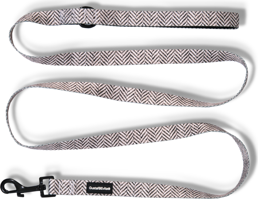 Bånd Modish XXS/XS, 15 mm x 180 cm mønstret - Hund - Kobbel og bånd - Leiebånd - Gustaf och Evita