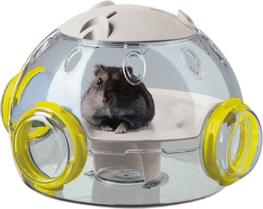 LAB grønn 22,5 x 20,7 cm - Hund - Hundeleker - Aktivitetsleker - Ferplast