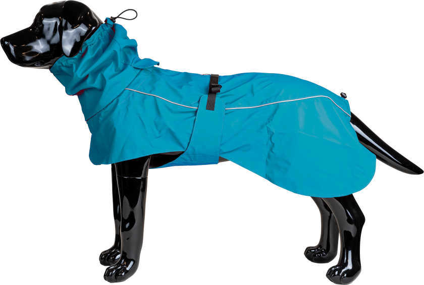 Regnfrakk Drop, 3XL, 60 cm, turkis - Hund - Klær og dekken - Dekken - Selected by ZOO