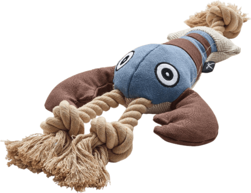 Hundeleketøy Canvas Zanzibar Rantum Hummer Polyester 43cm - Hund - Hundeleker - Tøy- og plysjleker til hund - Hunter