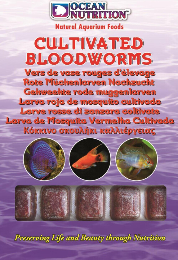 Frozen Cultivated Bloodworms - Fisk - Fôr - Ocean Nutrition