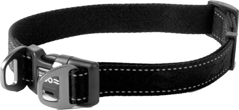 Hundehalsbånd Rufus justerbart, 25mmx38-66cm, Svart - Hund - Halsbånd og seler - Selected by ZOO