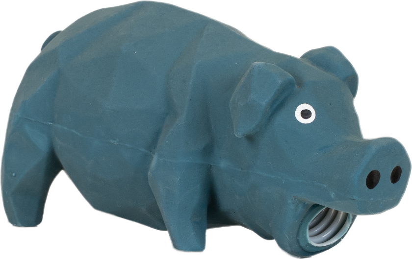 Hundeleke Pipgris Diamond, 15x8x7cm, turkis - Hund - Hundeleker - Pritax