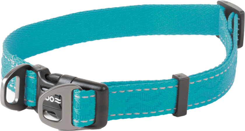Hundehalsbånd Rufus justerbart, 20mmx36-60cm, Turkis - Hund - Halsbånd og seler - Selected by ZOO