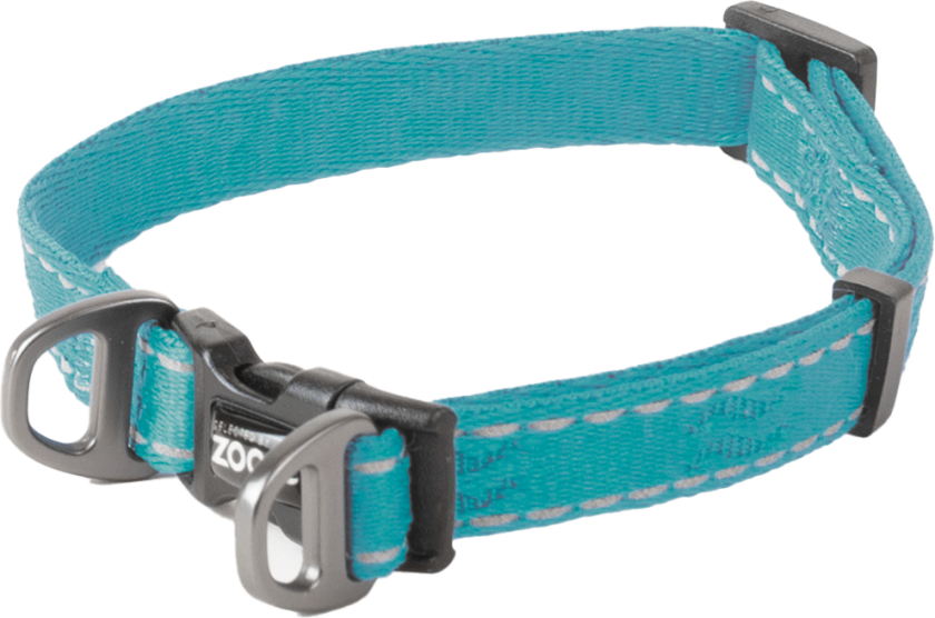 Hundehalsbånd Rufus justerbart, 10 mmx22-35cm, Turkis - Hund - Halsbånd og seler - Selected by ZOO