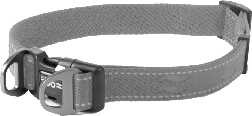 Hundehalsbånd Rufus justerbart, 25mmx38-66cm, Grå - Hund - Halsbånd og seler - Selected by ZOO