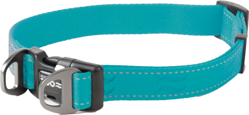 Hundehalsbånd Rufus justerbart, 25mmx38-66cm, Turkis - Hund - Halsbånd og seler - Selected by ZOO