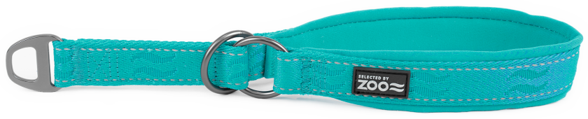 Hundehalsbånd Rufus halv jern 25 mm x 40-50 cm Turkis - Hund - Halsbånd og seler - Selected by ZOO