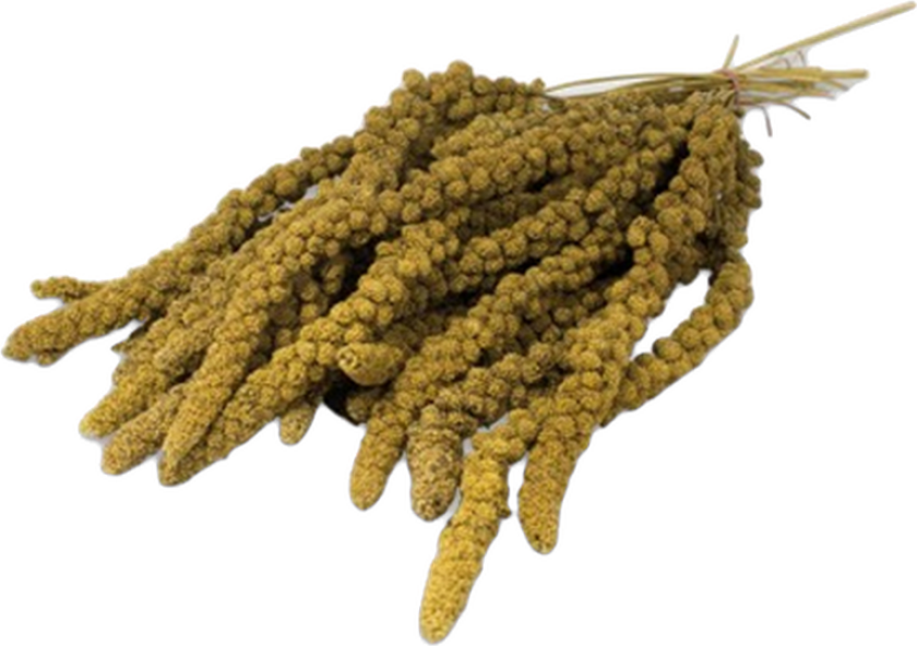 Hirsekolbe Gul 250g - Fugl - Snacks - JR FARM