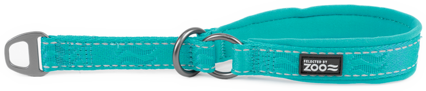 Hundehalsbånd Rufus halv jern 20 mm x 30-40 cm Turkis - Hund - Halsbånd og seler - Selected by ZOO