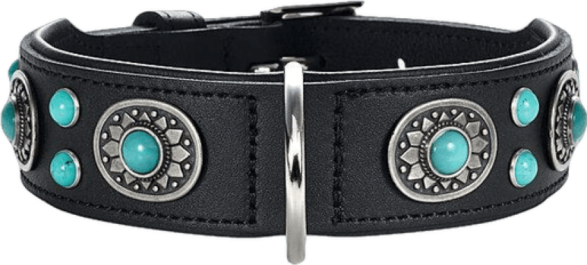 Dog Collar Sioux Black/Turquoise M-L 60 - Neck 47-54cm - Hund - Halsbånd og seler - Hunter