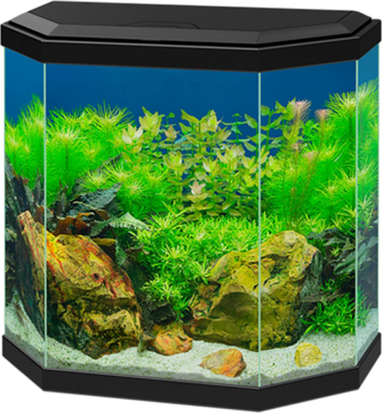 Bilde av Akvarium Aqua Black 25 L - Fisk - Akvarier - Ciano