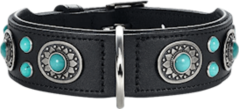 Dog Collar Sioux Black/Turquoise S-M 50 - Neck 35-43cm - Hund - Halsbånd og seler - Hunter
