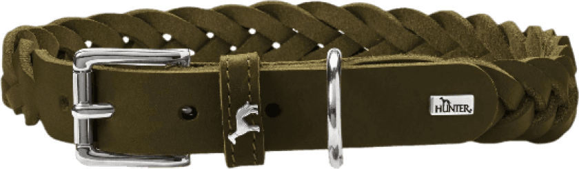 Dog Collar Solid Education Special Cow Leather Olive Green M 55cm - Hund - Halsbånd og seler - Hunter