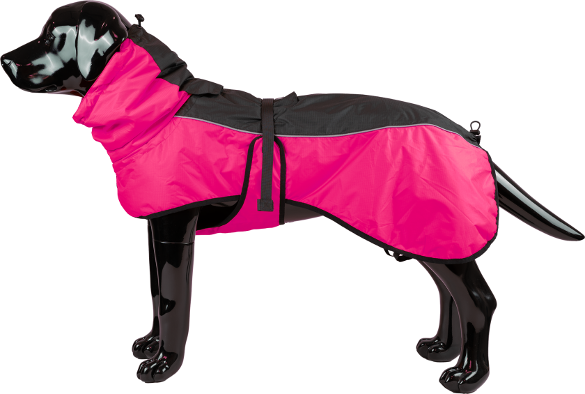 Vinterteppe Pajazzo, XL, 50 cm, Rosa - Hund - Klær og dekken - Dekken - Selected by ZOO