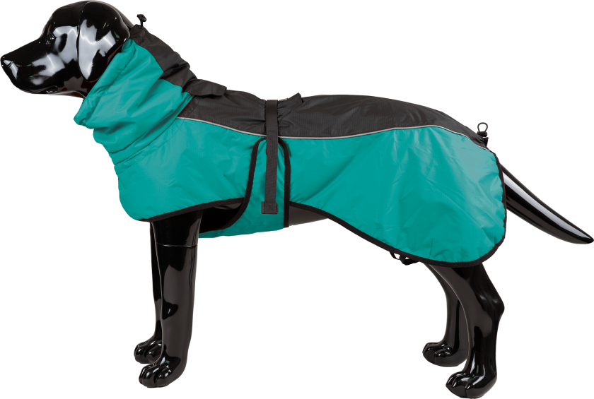 Pajazzo-vinterteppe, S, 35 cm, turkis - Hund - Klær og dekken - Dekken - Selected by ZOO