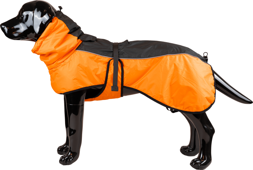 Vinterteppe Pajazzo, 3XL, 60 cm, Oransje - Hund - Klær og dekken - Dekken - Selected by ZOO