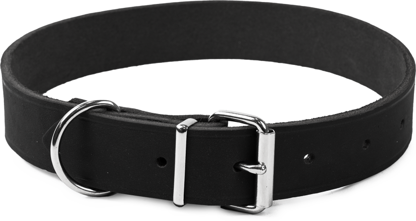 Halskjede i lær Hera justerbar Svart 30 mm x 47-59 cm - Hund - Halsbånd og seler - Selected by ZOO
