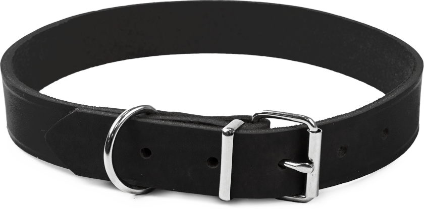 Lærhalsbånd Hera justerbar Svart 25 mm x 44-54 cm - Hund - Halsbånd og seler - Selected by ZOO