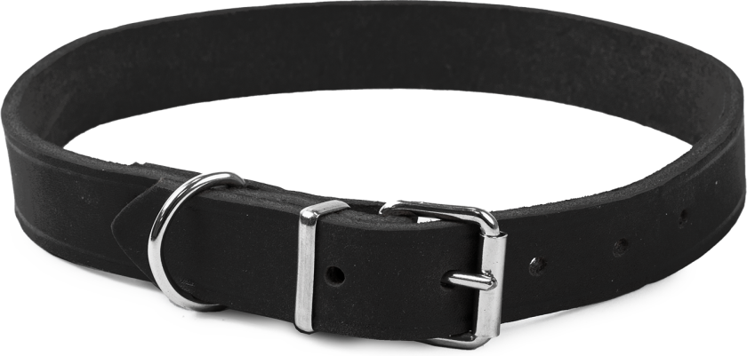Lærhalsbånd Hera justerbar Svart 22 mm x 39-49 cm - Hund - Halsbånd og seler - Selected by ZOO