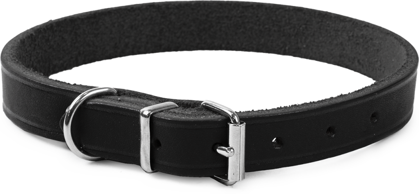 Lærhalsbånd Hera justerbar Svart 16 mm x 28-35 cm - Hund - Halsbånd og seler - Selected by ZOO