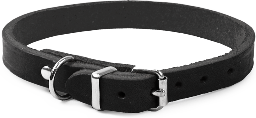 Lærkjede Hera justerbar Svart 12 mm x 24-29 cm - Hund - Halsbånd og seler - Selected by ZOO