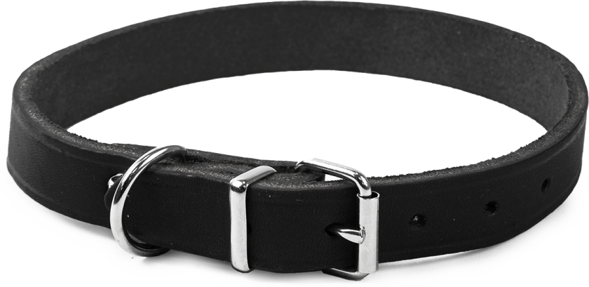 Lærhalskjede Hera justerbar Svart 18 mm x 32-39 cm - Hund - Halsbånd og seler - Selected by ZOO