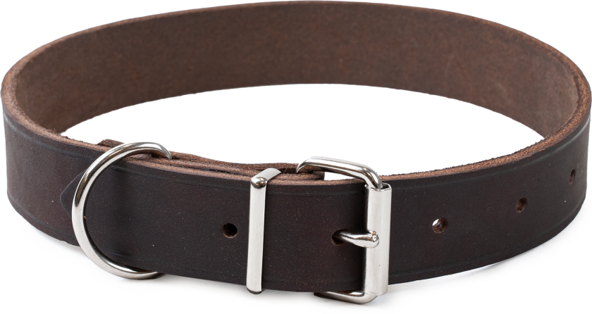 Halskjede i lær Hera justerbar Brun 30 mm x 47-59 cm - Hund - Halsbånd og seler - Selected by ZOO