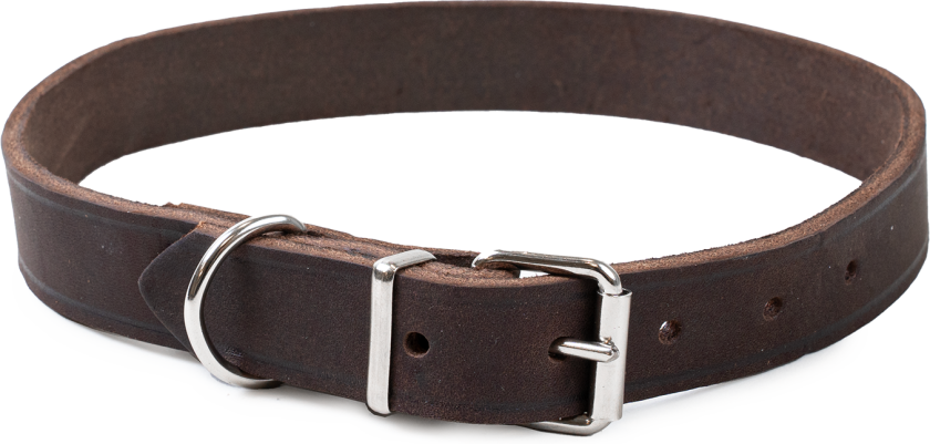 Halskjede i lær Hera justerbar Brun 22 mm x 39-49 cm - Hund - Halsbånd og seler - Selected by ZOO