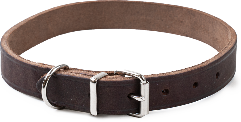 Halskjede i lær Hera justerbar Brun 20 mm x 36-44 cm - Hund - Halsbånd og seler - Selected by ZOO