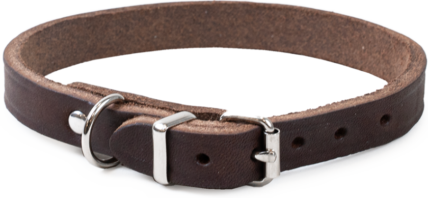 Halskjede i lær Hera justerbar brun 12 mm x 24-29 cm - Hund - Halsbånd og seler - Selected by ZOO