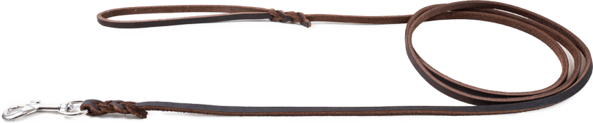 Lærsnor Hera brun 6 mm x 180 cm - Hund - Kobbel og bånd - Leiebånd - Selected by ZOO
