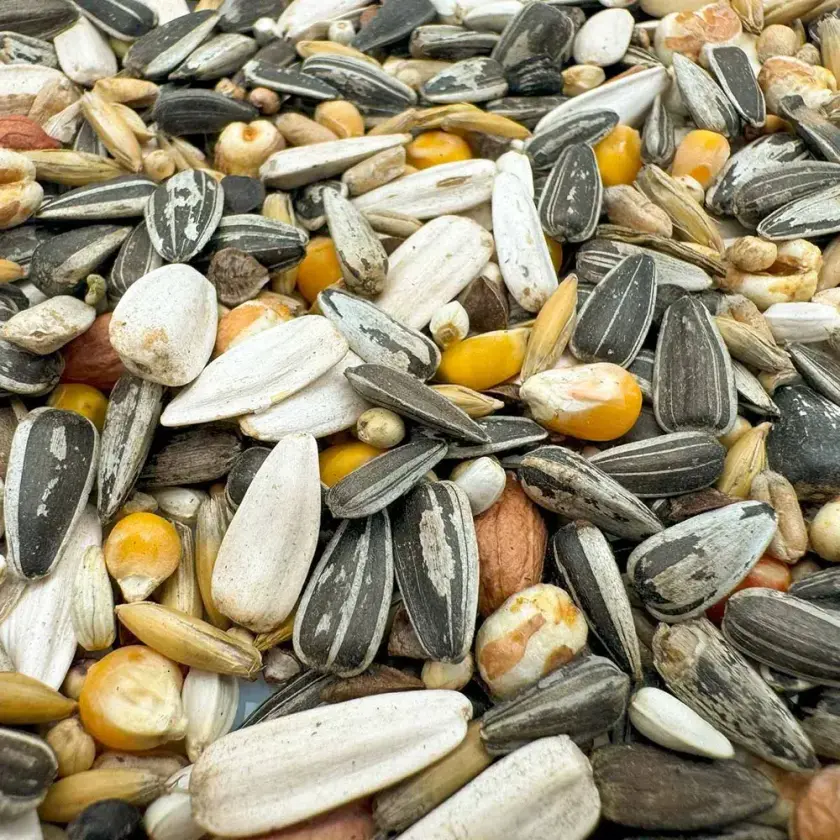 Papegøyemiks 15 kg - Fugl - Fuglefôr - Bello