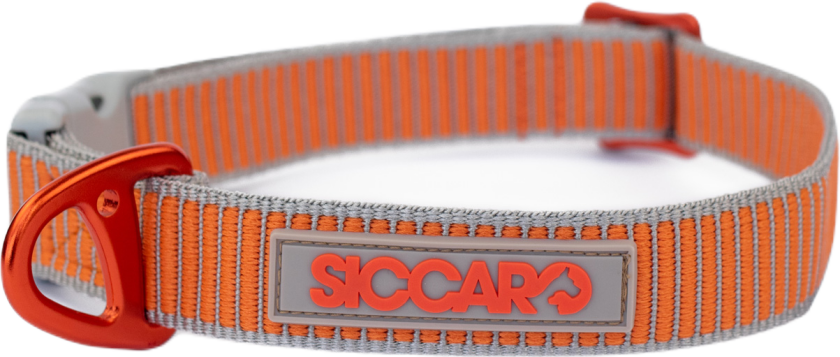 Justerbart halskjede Sealines oransje/sølv 36-51 cm - Hund - Halsbånd og seler - Siccaro