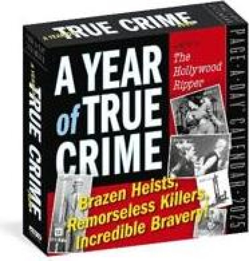 Year of True Crime Page-A-Day® Calendar 2025