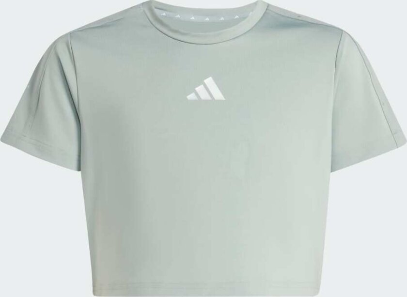 Train Essentials Seasonal Print T-skjorte