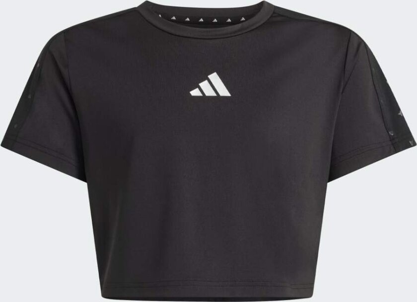 Train Essentials Seasonal Print T-skjorte