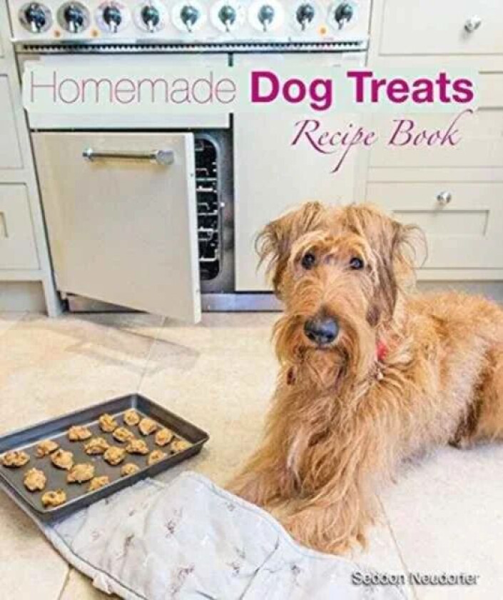 Homemade Dog Treats av Seddon Neudorfer