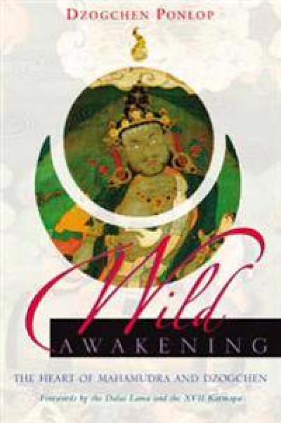 Wild Awakening